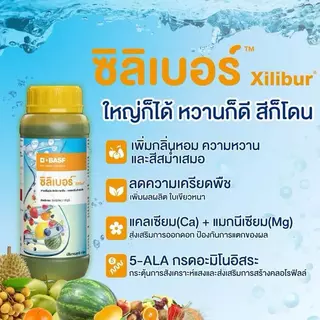 ซิลิเบอร์ ขนาด 1 ลิตร กรดอะมิโนพืช ฮอร์โมนพืชอย่างดี ฉีดแล้ว ใหญ่ก็ได้ หวานก็ดี สีก็โดน เร่งสีสัน เร่งผลใหญ่ เร่งหวาน