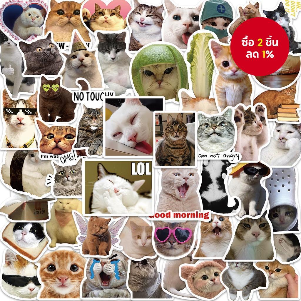 สติ๊กเกอร์ Emme Emoji แมวตลก 50 ชิ้น – สติ๊กเกอร์การ์ตูนกันน้ําสําหรับแล็ปท็อปโทรศัพท์สมุดภาพ DIY
