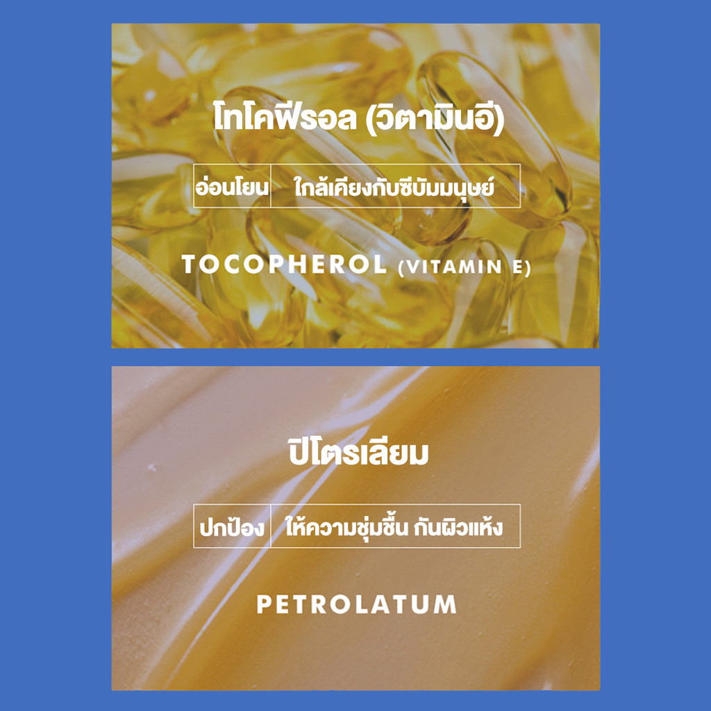 รูปภาพ 8