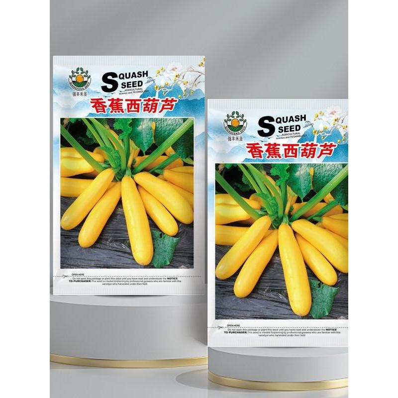 *现货*香蕉西葫芦种子黄色金皮香蕉瓜种籽高产生吃阳台盆栽水果蔬菜种子Banana zucchini seeds, yellow golden-skinned banana melon seeds.20