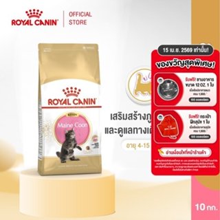 Royal Canin Kitten Mainecoon 10kg อาหารเม็ดลูกแมว อายุ 2-15 …