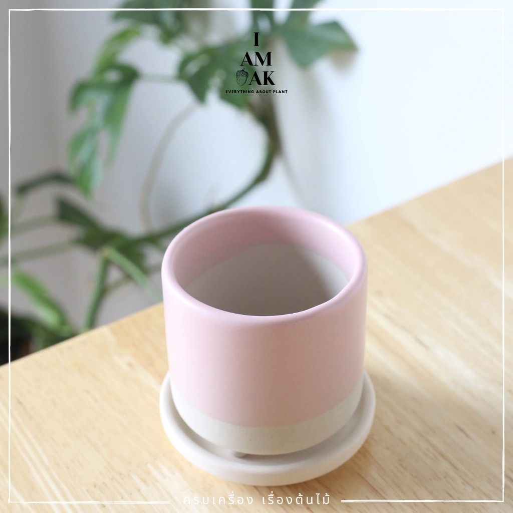 มุมมอง 4