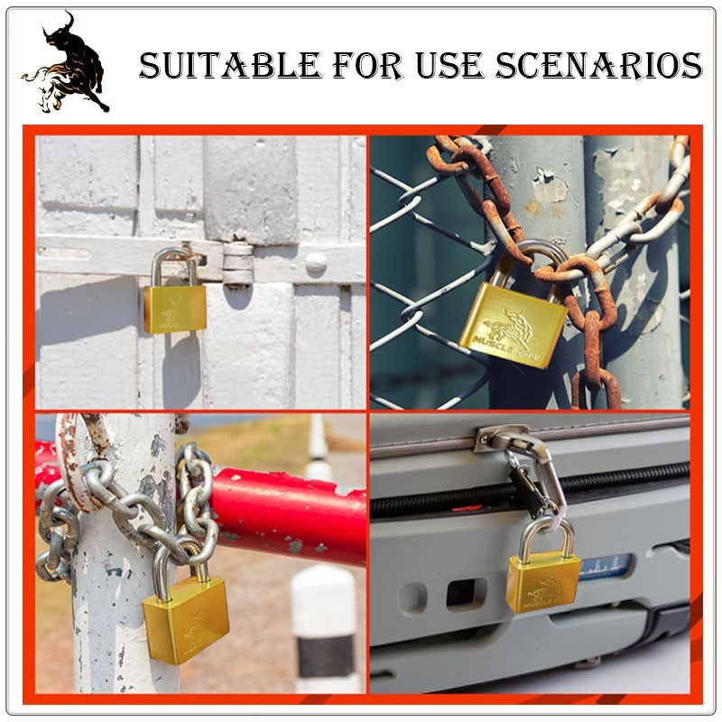 Muscle COW กุญแจ ระบบลูกปืน สีทอง และสีเงิน กุญแจลูกปืน กันน้ำได้ 60มม. คอสั้น คอยาว ขนาดเล็ก ใหญ่ รุ่นเหล็กชุบ แม่กญแจ - รูปที่ 6