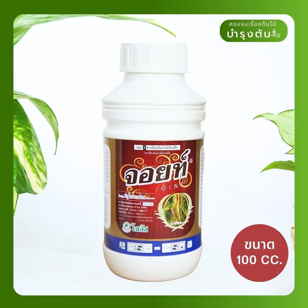 มุมมอง 3