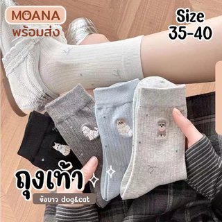 พร้อมส่ง : ถุงเท้า ข้อยาว กวิ้นเทา 5 คู่ ลายมินิมอล แฟชั่น ลายน่ารักเนื้อผ้านุ่มม