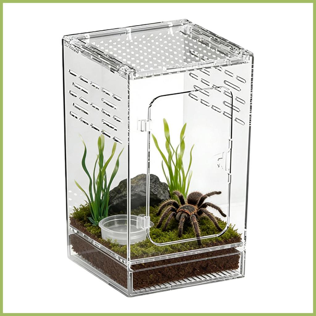 กระโดด Spider Habitat สบายอะคริลิคโปร่งใส Mantis Habitat กบ Enclosure สําหรับ Lizards ขนาดเล็ก yunkt