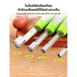 1ชุดมี4ชิ้น ที่เจาะแกนผลไม้ อเนกประสงค์ เครื่องมือล้างเมล็ดสแตนเลส เจาะเม็ด มะยงชิด คว้านเม็ด แอปเปิ้ล พุทราจีน เงาะ