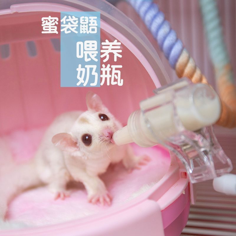 蜜袋鼯奶瓶小蜜喂奶奶嘴金丝熊喂奶喂用品飞鼠奶瓶奶嘴4.13Sugar Glider Feed Bottle, Small Sugar Glider Feed Nipple, Golden Hamste