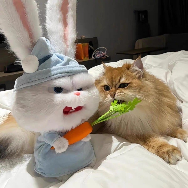 COD ตุ๊กตากระต่าย  snowball the bunny ตุ๊กตากระต่ายสโนว์บอ ตกแต่งแครอท นุ่มและน่ารัก ของเล่นเด็ก - รูปที่ 2