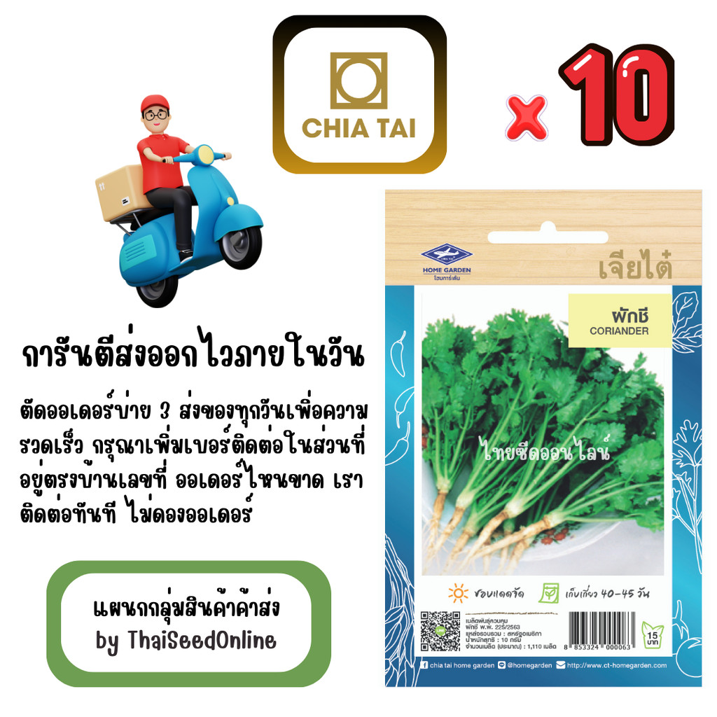 CTOP x 10 เมล็ดผักซองเจียไต๋ ผักชี สินค้ายกแพ็ค