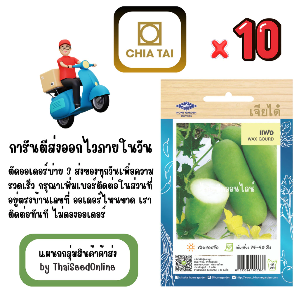 เจียไต๋ CTOP x 10 เมล็ดผักซองเจียไต๋ แฟง สินค้ายกแพ็ค
