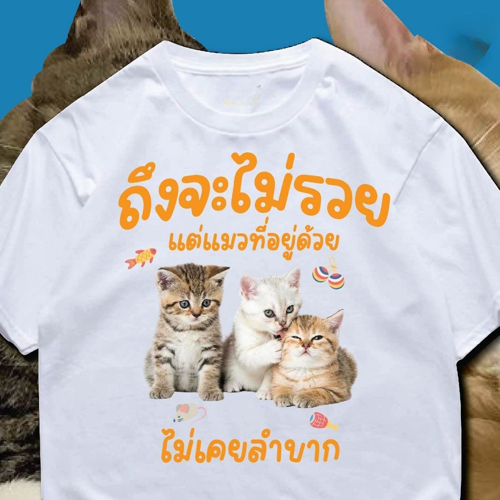 YOUNG T ( พร้อมส่งเสื้อเฮีย ) M~3XL  เสื้อ ถึงจะไม่รวย แต่แมวที่อยู่ด้วย หลากสี ผ้าCotton 100% ราคา ถูกที่สุด ดีลบีเคเค แกลเลอรีภาพที่ 4