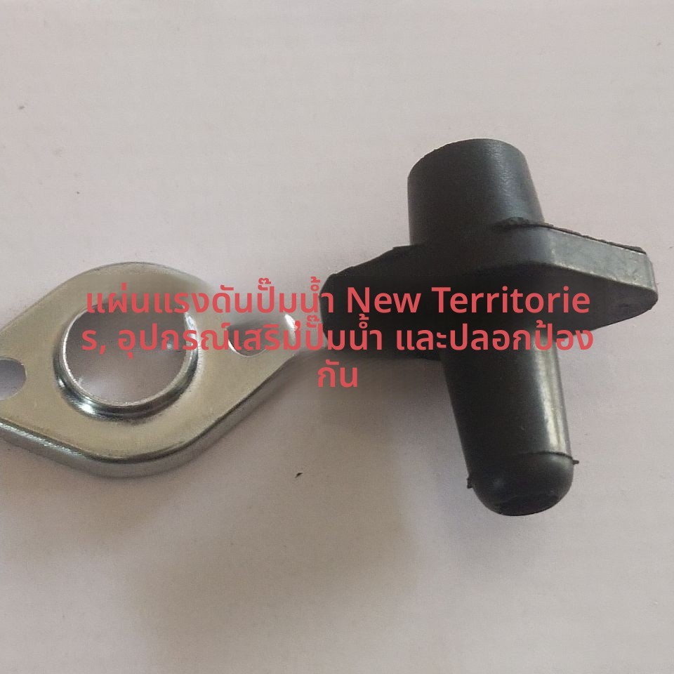 ชุดอะไหล่แท้ปั๊ม SHIMGE แผ่นกดและปลอกป้องกัน ชุดเซ็ต