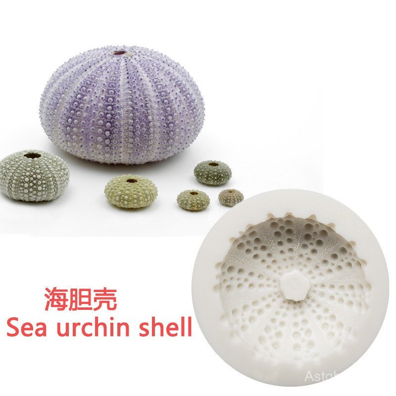 Sea urchin SHELL แม่พิมพ์ซิลิโคนสัตว์ทะเล Fondant แม่พิมพ์เค้กเทียน Diffuser Sea urchin SHELL