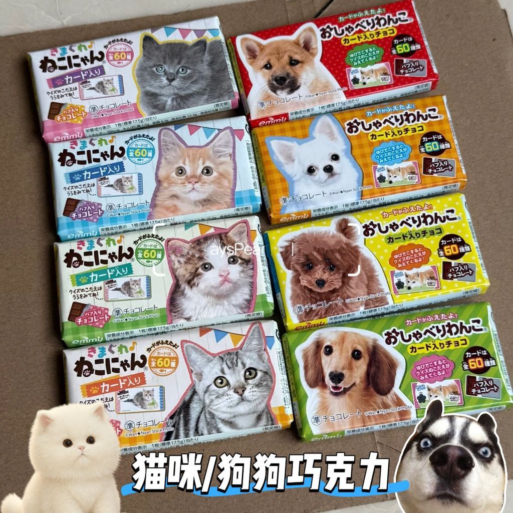 Donki Collection ของขวัญแมวช็อคโกแลตนําเข้ากรอบสุนัขสนุกขนมมือตัวอักษรน่ารัก