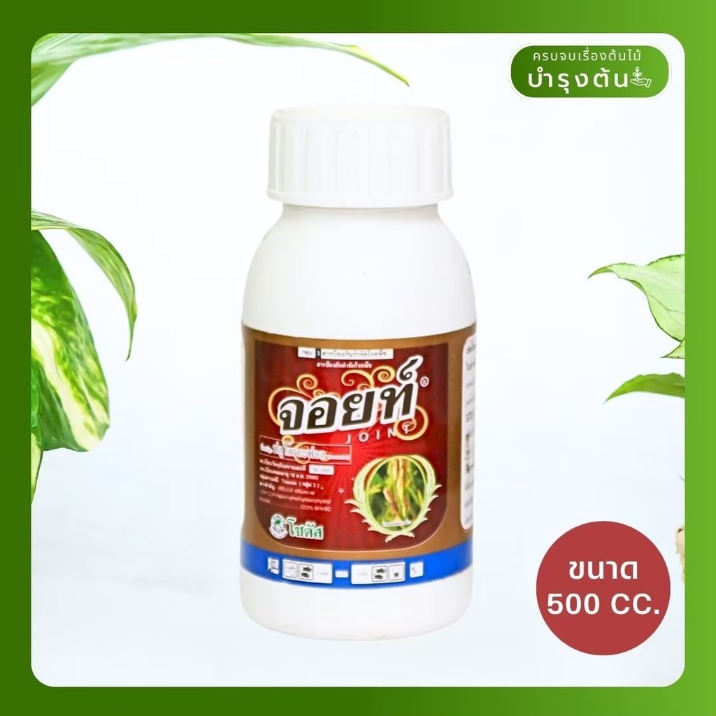 มุมมอง 2