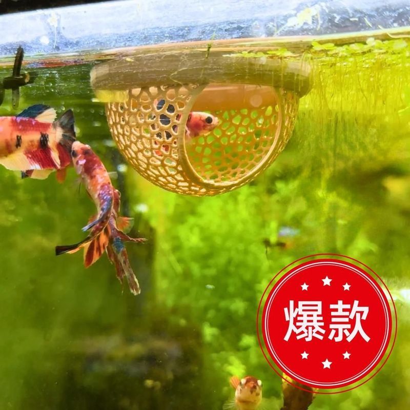 Fish Rest Area鱼类休息室水族箱配浮动鱼类休息室4.9Fish Rest Area Aquarium with Float Fish Rest Area 4.9