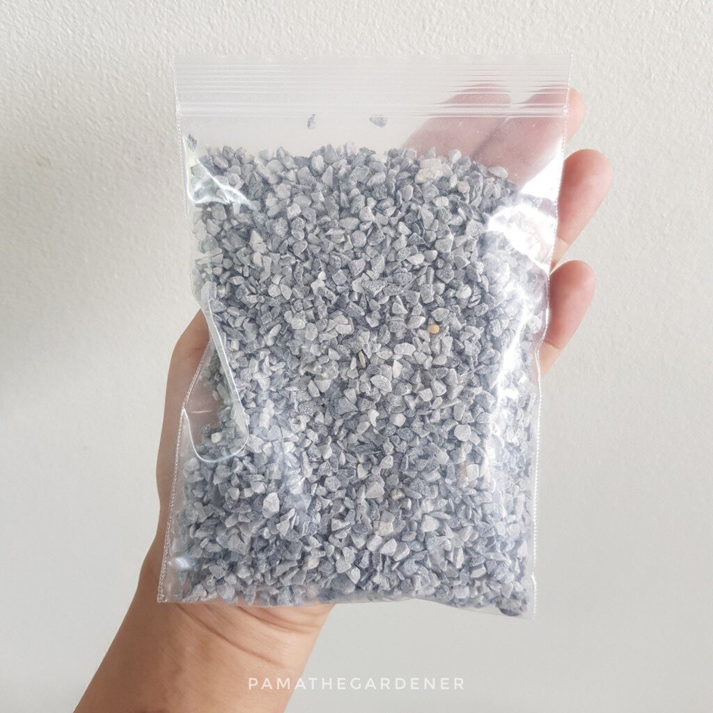 มุมมอง 8