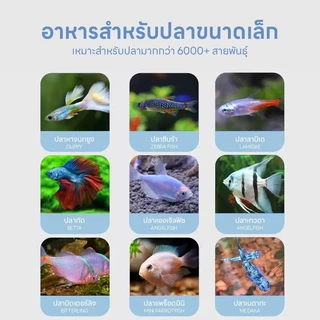 Doge&Orange อาหารสำหรับปลาขนาดเล็ก สำหรับปลาสวยงาม เร่งสี เร่งโต ส่วนผสมจากธรรมชาติ ขนาด400ml PU212