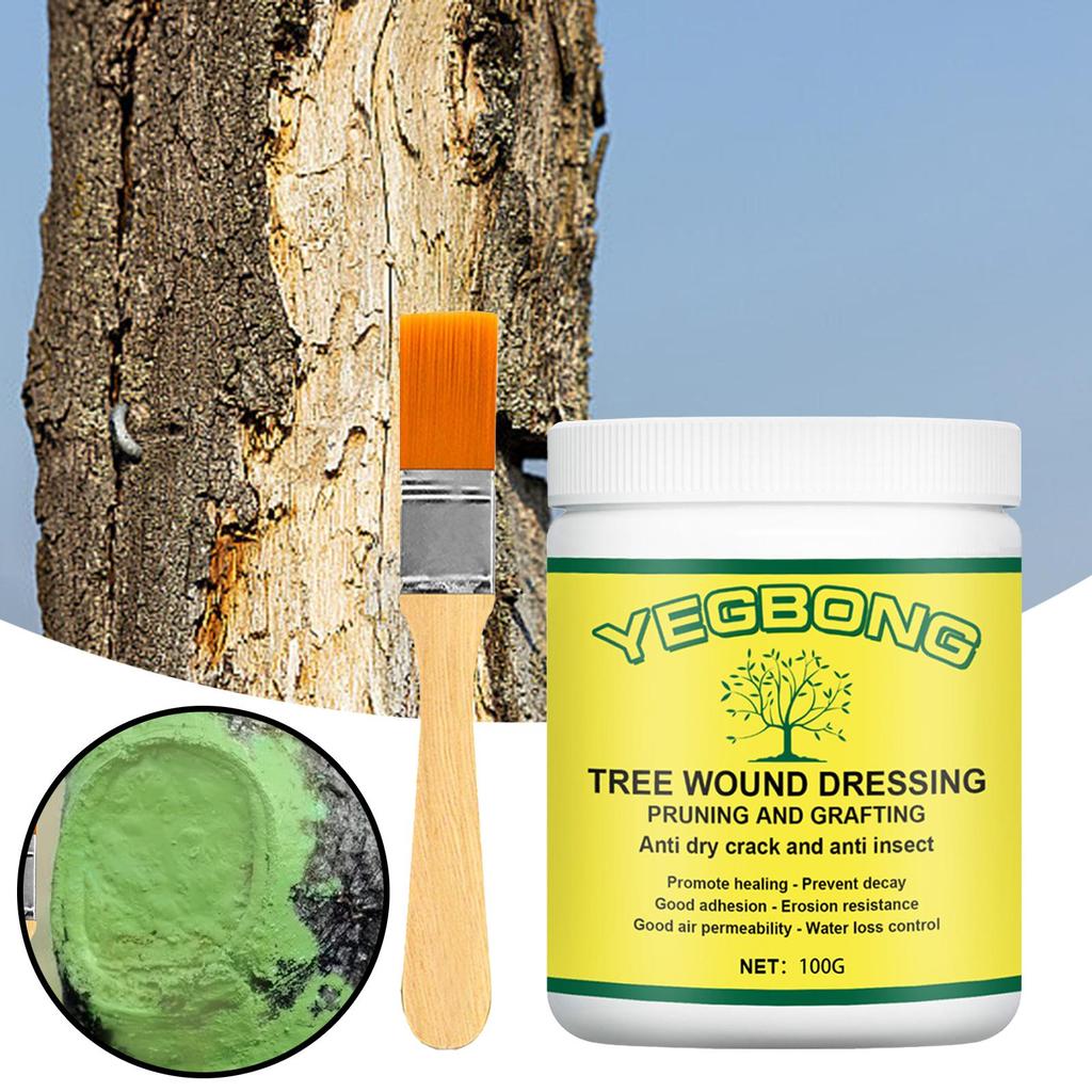 [stdzsw] Tree Wound Sealer การตัดแต่งกิ่ง Grafting วาง Ointment Dressing ครีมพร้อมแปรงน้ําทนสําหรับผลไม้ต้นไม้สาขาไม้พุ่มต้นกล้าเหมาะสําหรับ Home Gar