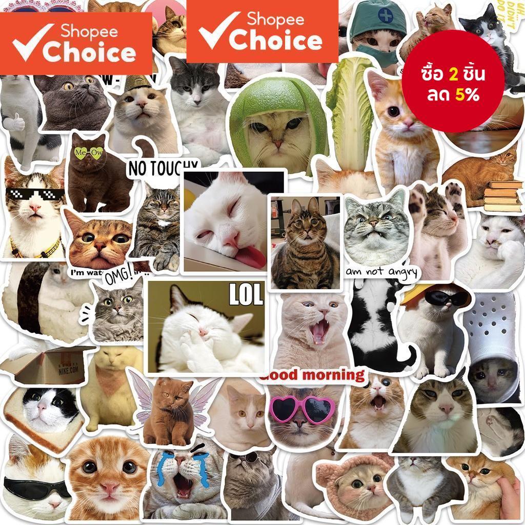 สติ๊กเกอร์ Emme Emoji แมวตลก 50 ชิ้น – สติ๊กเกอร์การ์ตูนกันน้ําสําหรับแล็ปท็อปโทรศัพท์สมุดภาพ DIY