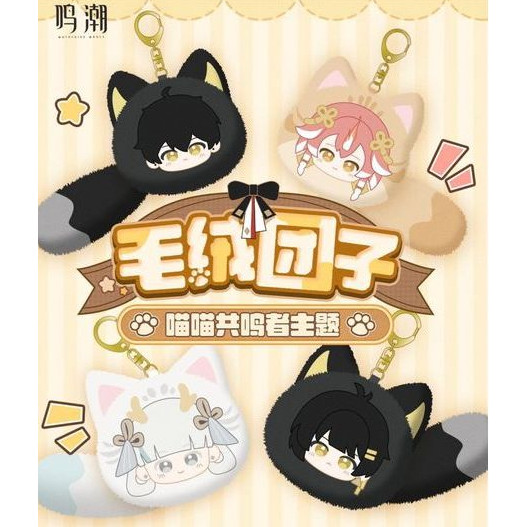 【พร้อมส่ง】wuthering waves figure plush doll Rover、Jinhsi、Changli Anime Merchandise