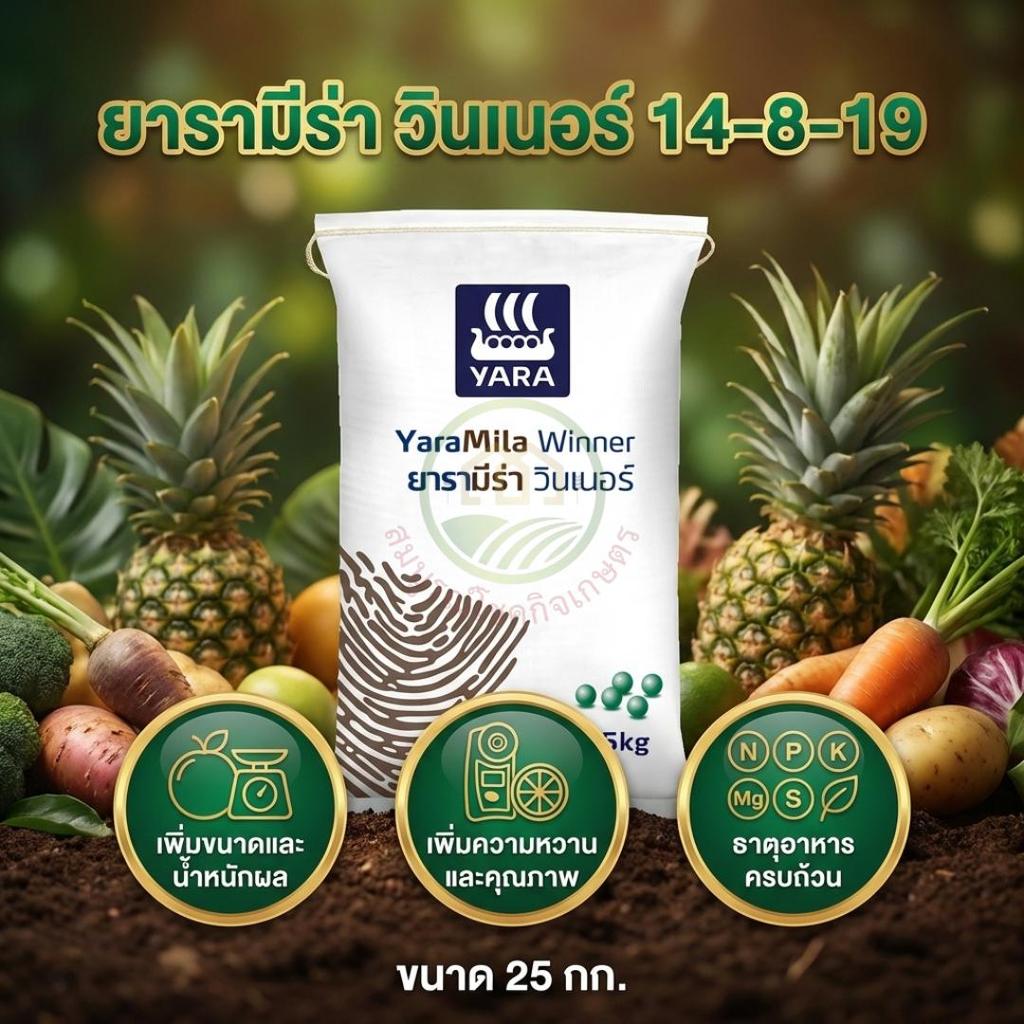 YaraMila Winner ปุ๋ยยาร่า ยารามีร่า วินเนอร์  สูตร 14-8-19  (Ca++, Mg++, K+) บรรจุ 25 กิโลกรัม ปุ๋ยหว่านทางดิน