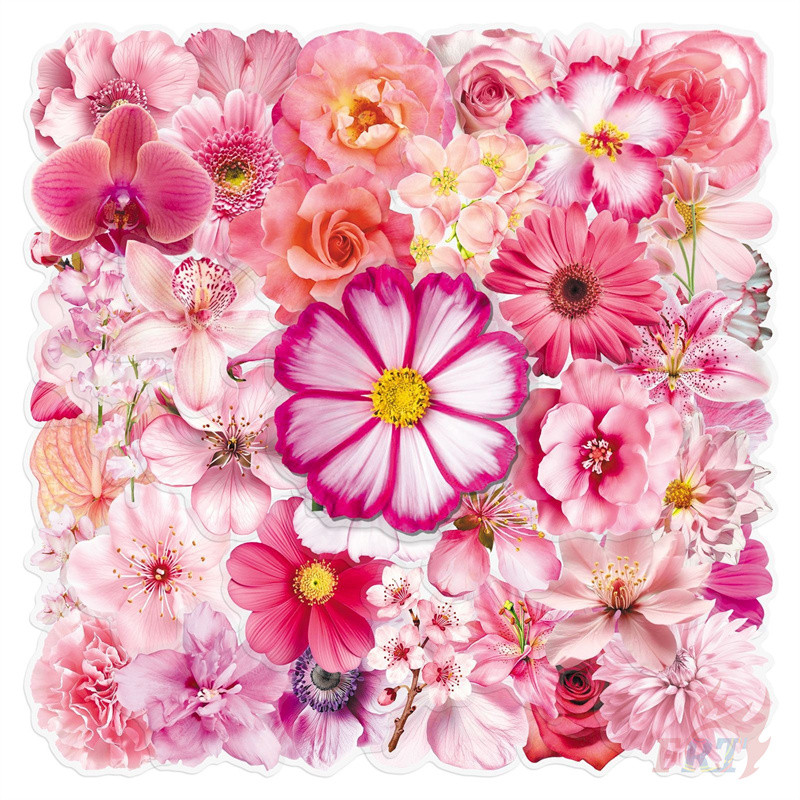 ❉ สติ๊กเกอร์ PET Pink Flowers Series 03 ❉ 50 ชิ้น/เซ็ต DIY แฟชั่นสติ๊กเกอร์กันน้ํา Doodle สติ๊กเกอร์