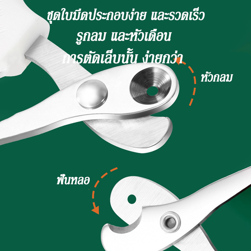 Thumbnail 9