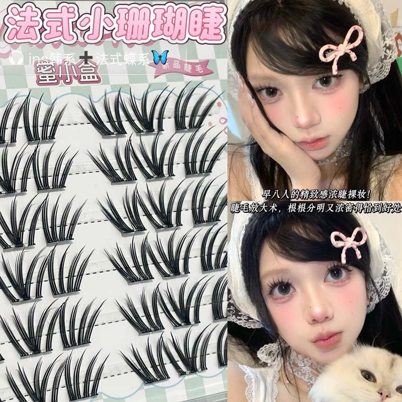 ขนตาติดด้วยตนเอง Coral-Fox | คลัสเตอร์ลูกผสมมีปีกสําหรับ Manga Volume Glam | Wisps & No-Like Feathered Smudge-Proof Hold