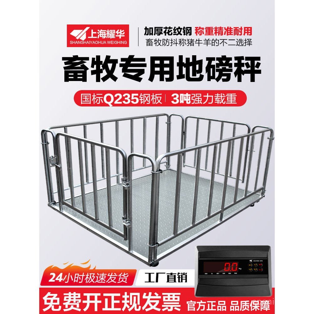 Shanghai Yaohua Electronic Place Scale 1/2/3 ตันพร้อมรั้ว Place Scale หนาขนาดที่แม่นยํา Pig Niu Smal