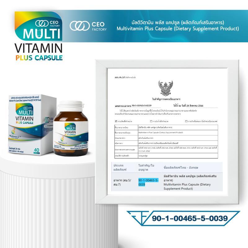 Multivitamin Plus Capsule (CEO Factory Brand) วิตามินรวม 13 ชนิด Vitamin B Complex , Vitamin E , Vit
