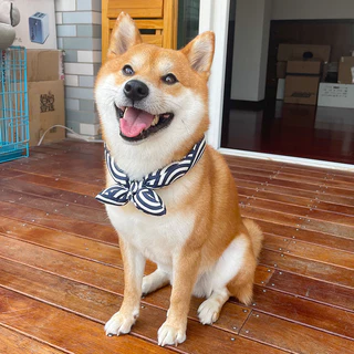 Pet-Eleven Japanese-Style Dog Bib สัตว์เลี้ยง Shiba Inu ผ้าพันคอผ้าพันคอสุนัขผ้าพันคอแมวตกแต่งปรับสัตว์เลี้ยงตกแต่ง