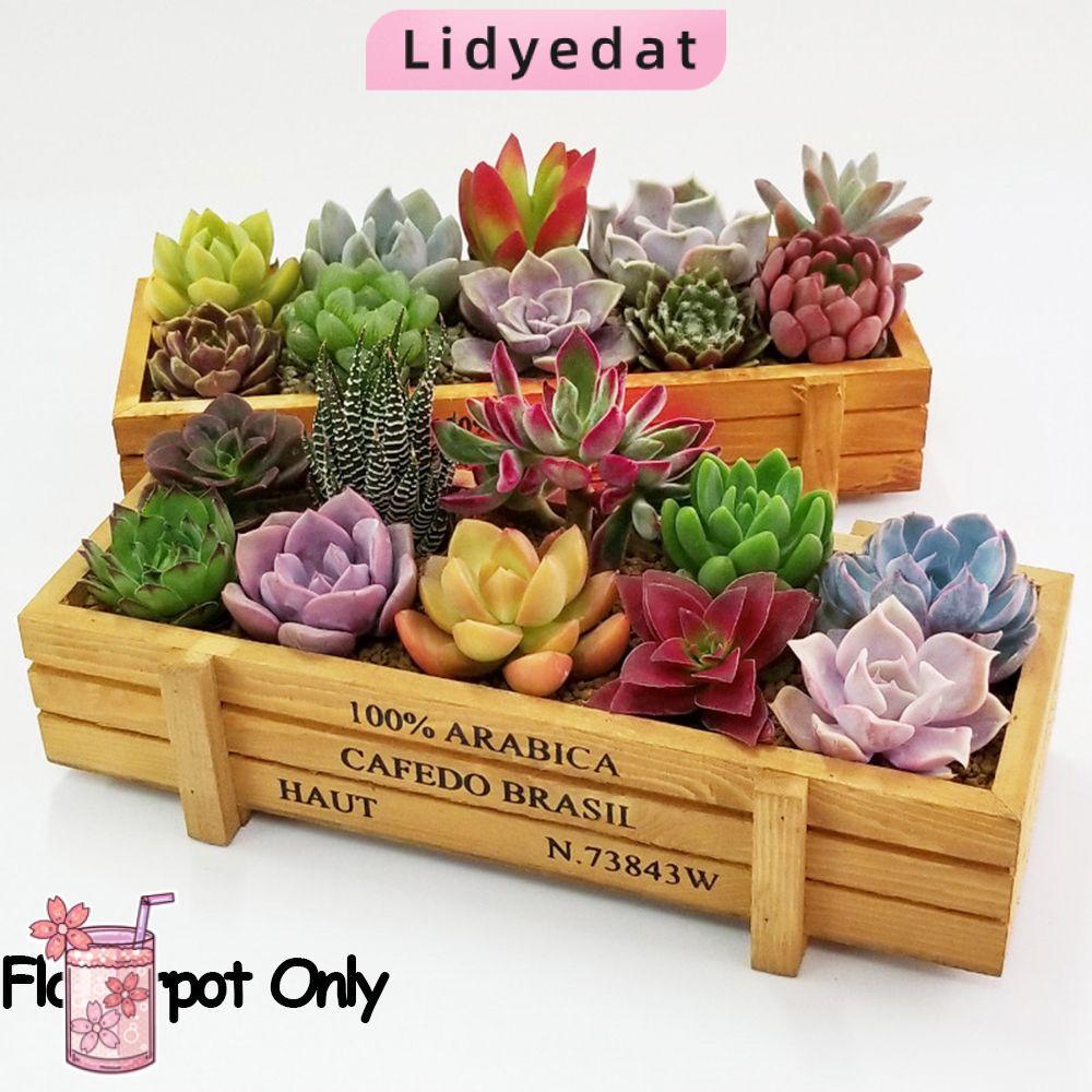 LIDYEDAT165 1 PC แจกันสี่เหลี่ยมผืนผ้า Planter กระถางตกแต่ง Trough Vintage Crater