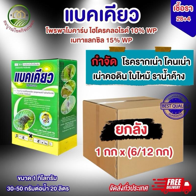 (ยกลัง 6/12 กก) แบคเคียว 2 พลังบวก ยับยั้งเชื้อราแบคทีเรีย ล้างไฟทอปเธอร่าทุเรียน รากเน่า โคนเน่า เน่าเละ ฉีดผ่าดอกได้
