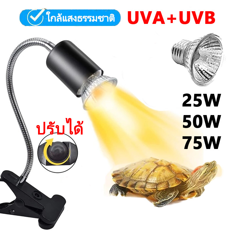 หลอดไฟให้ความร้อนสัตว์ หลอดไฟเซรามิก หลอดไฟ UVB/UVA ให้รังสี ขั้วหลอดไฟให้ความร้อนสัตว์ อายุการใช้งานยาวนาน