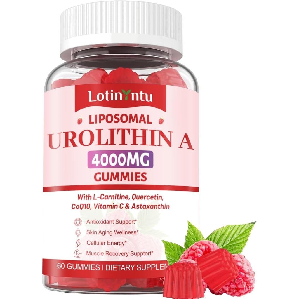 Urolithin A Gummies 4000MG 1P