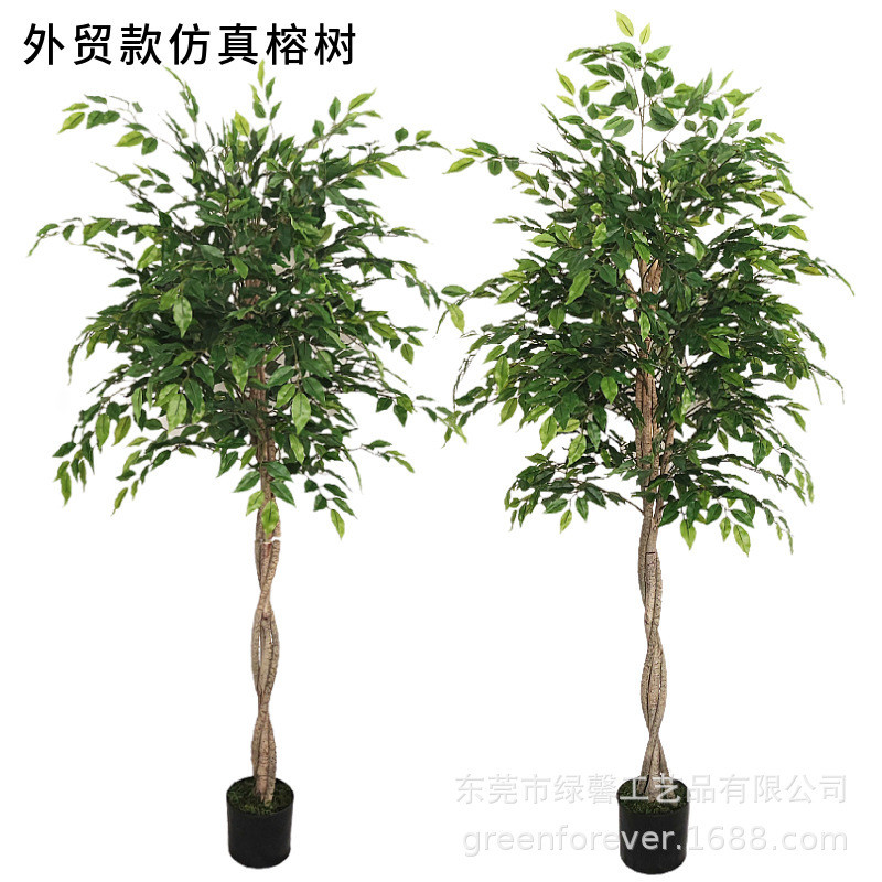 Model Disassembly Assembly Simulation Sharp-Beaked Banyan Tree Simulation Tree ภูมิทัศน์ O