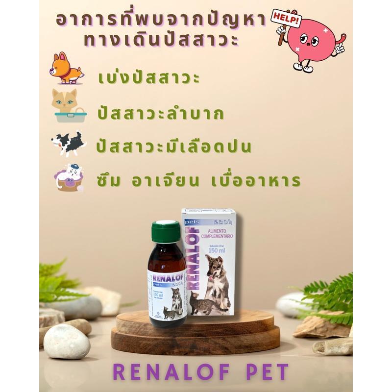 ของแท้ ส่งฟรี Renalof Pets วิตามินเสริมอาหารบำรุงทางเดินปัสสาวะ
