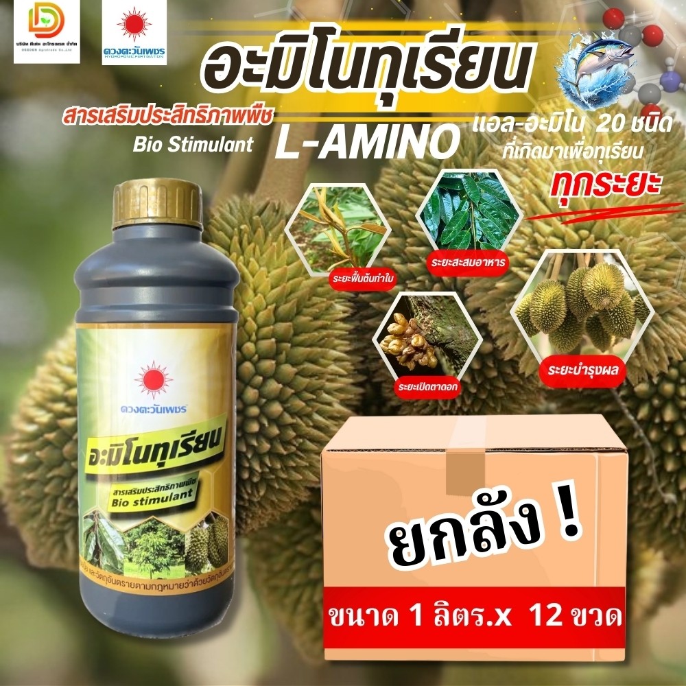 (ยกลัง1L*12) อะมิโนทุเรียน สำหรับทุเรียนโดยเฉพาะ เข้มข้นสูง ขนาด 1 ลิตร #ดวงตะวันเพชร