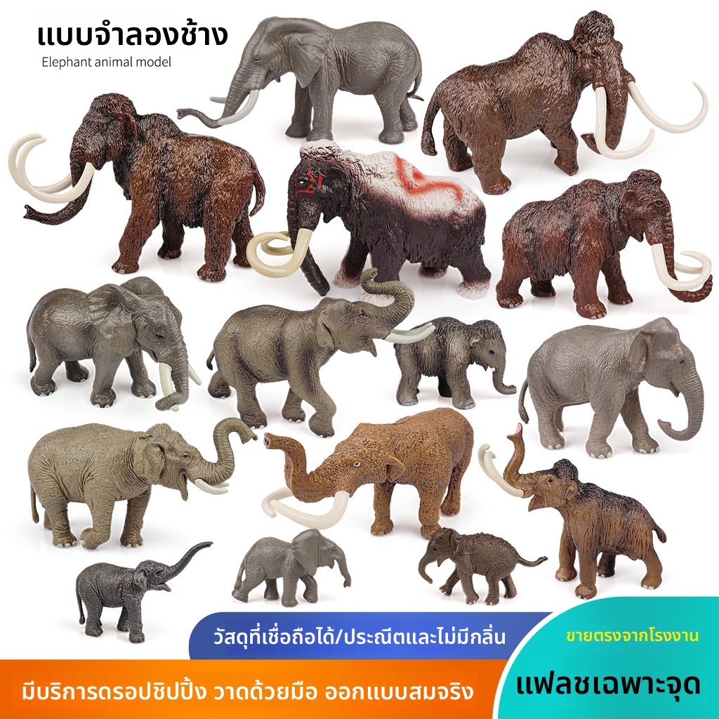 การศึกษาจําลองช้างองค์ความรู้หุ่นสัตว์ป่ารุ่นช้างแอฟริกันเอเชียช้างแมมมอธเด็กตรัสรู้การสอนเครื่องประดับ
