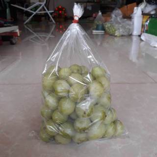 มะขามป้อม มะขามป้อมสด 1kg มะขามป้อมแป้นสยาม มะขามป้อมยักษ์ ส…