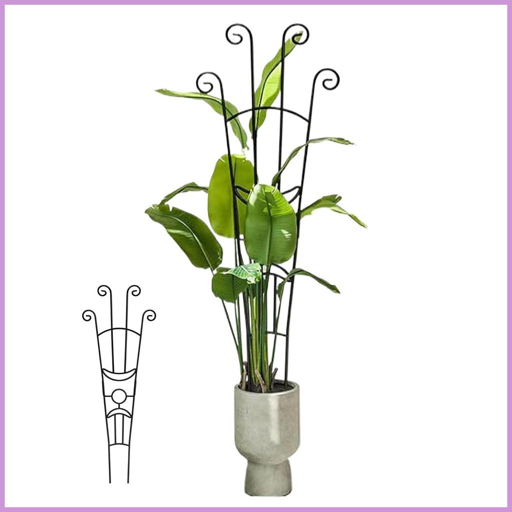 พืช Trellis Indoor House Plant Support Stakes Pothos สนับสนุน Stakes สําหรับในร่มกลางแจ้งระเบียง Pot