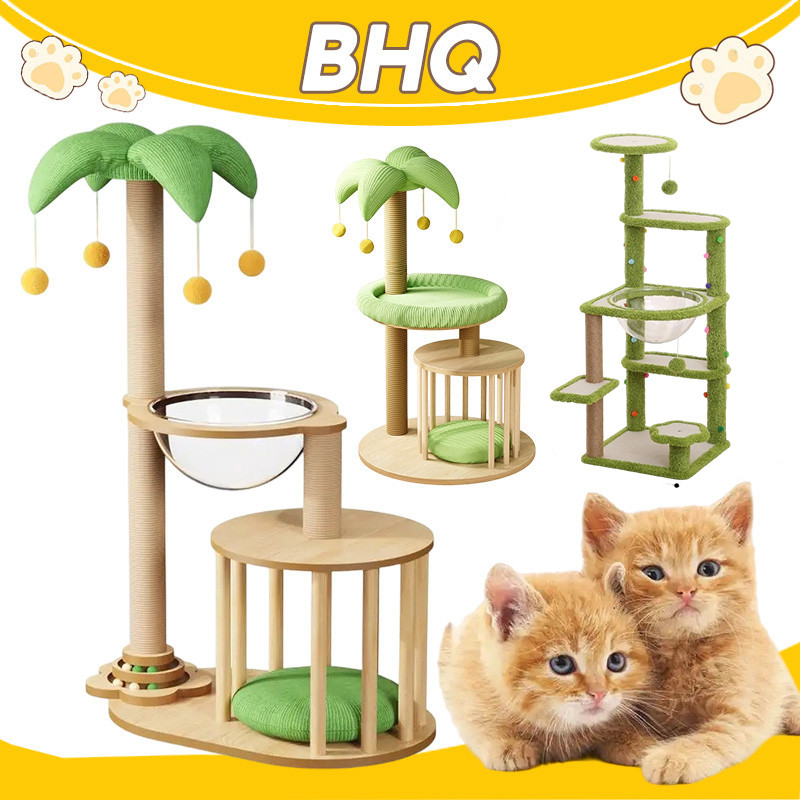 BHQ กรอบปีนแมว คอนโดแมว เสาลับเล็บแมวได้ คอนโดแมวไม้ บ้านแมว กรอบปีนแมวต้นมะพร้า