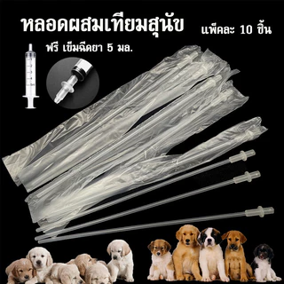 ฟรี ไซริงค์ 5 มล. หลอดผสมเทียมสุนัข แพะ สัตว์ขนาดเล็ก ผสมเทียมสุนัข 10 ชิ้น อุปกรณ์ ผสมเทียม
