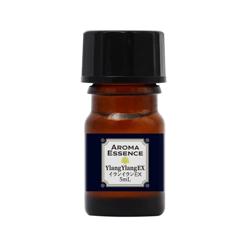 Ylang Ylang EX Essential Oil 5ml - Aroma Oil for Blending and Fragrance