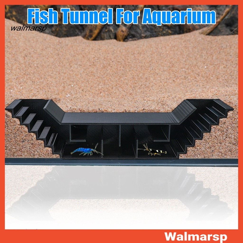 (ใหม่) อุโมงค์ปลาสําหรับพิพิธภัณฑ์สัตว์น้ําปลากัดซ่อนปลาพิพิธภัณฑ์สัตว์น้ําอุโมงค์ถ้ําซ่อนปลาที่มีสอ