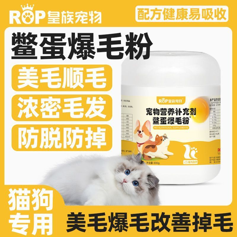 Direct Mail ️ Royal Family Turtle Egg Fluffy Powder Bichon Golden Retriever Teddy Beauty Powder Pet 