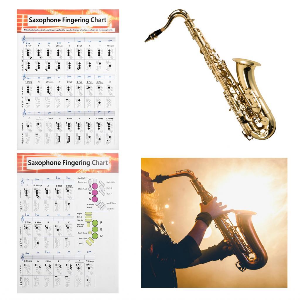 Musicalbase-TH ACAGALA Saxophone Fingering Chart คู่มือพื้นฐาน ตารางเปรียบเทียบการออกกำลังกาย กระดาษเคลือบแบบพกพา