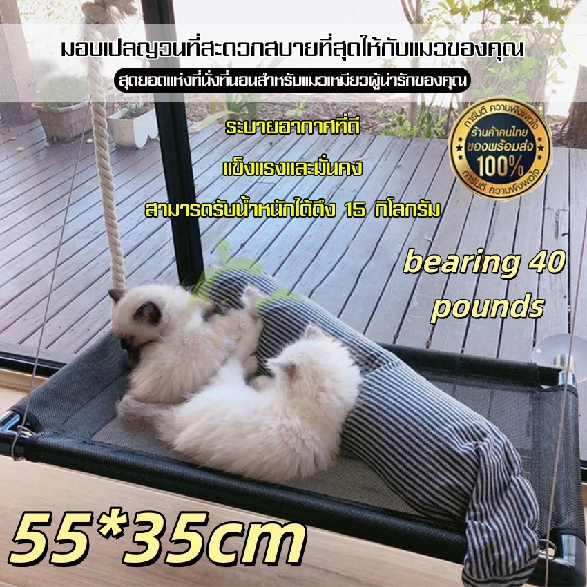 เปลแมวติดกระจก เปลแมวติดผนัง ที่นอนแมว